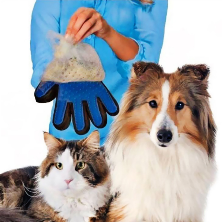 PetLume CleanSwipe™ Brush Glove
