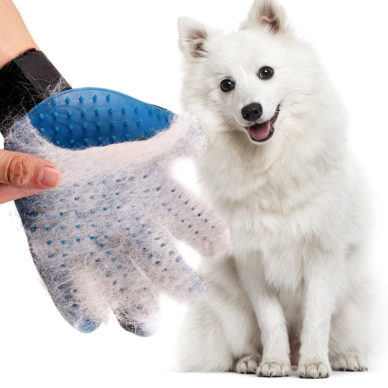 PetLume CleanSwipe™ Brush Glove